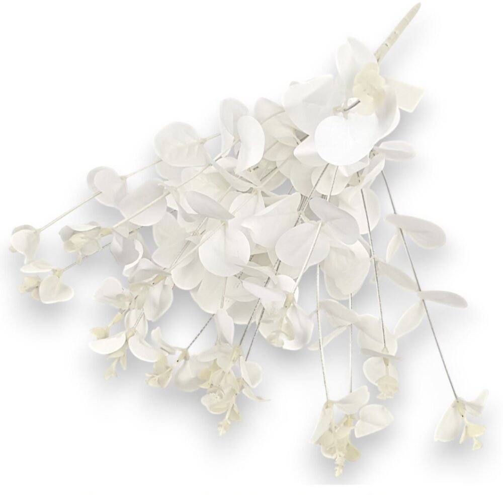 Větvička eukalyptus bílá