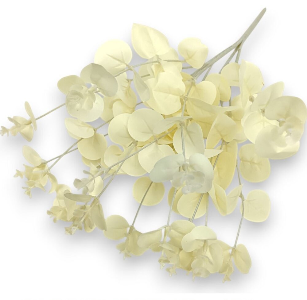 Větvička eukalyptus krémová