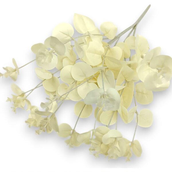 Větvička eukalyptus krémová