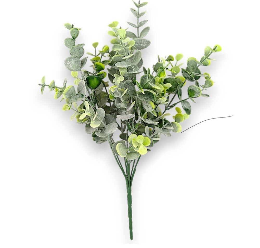 Eukalyptus svazek - Image 2