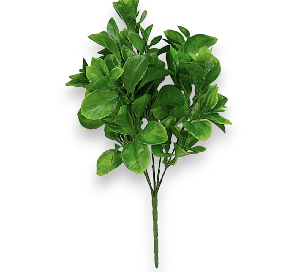 Větvička eukalyptus