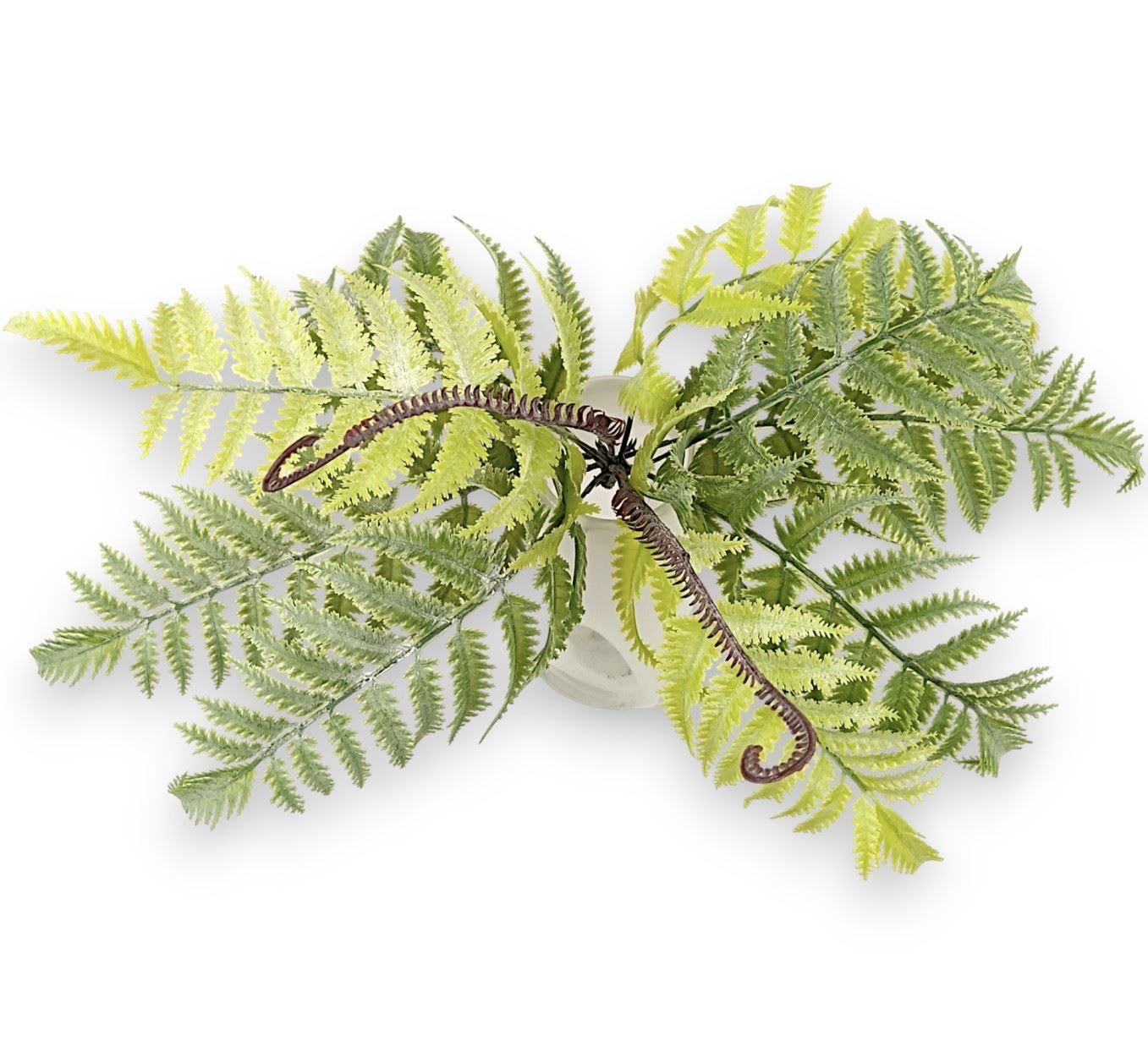 Umělá kapradina - Image 2