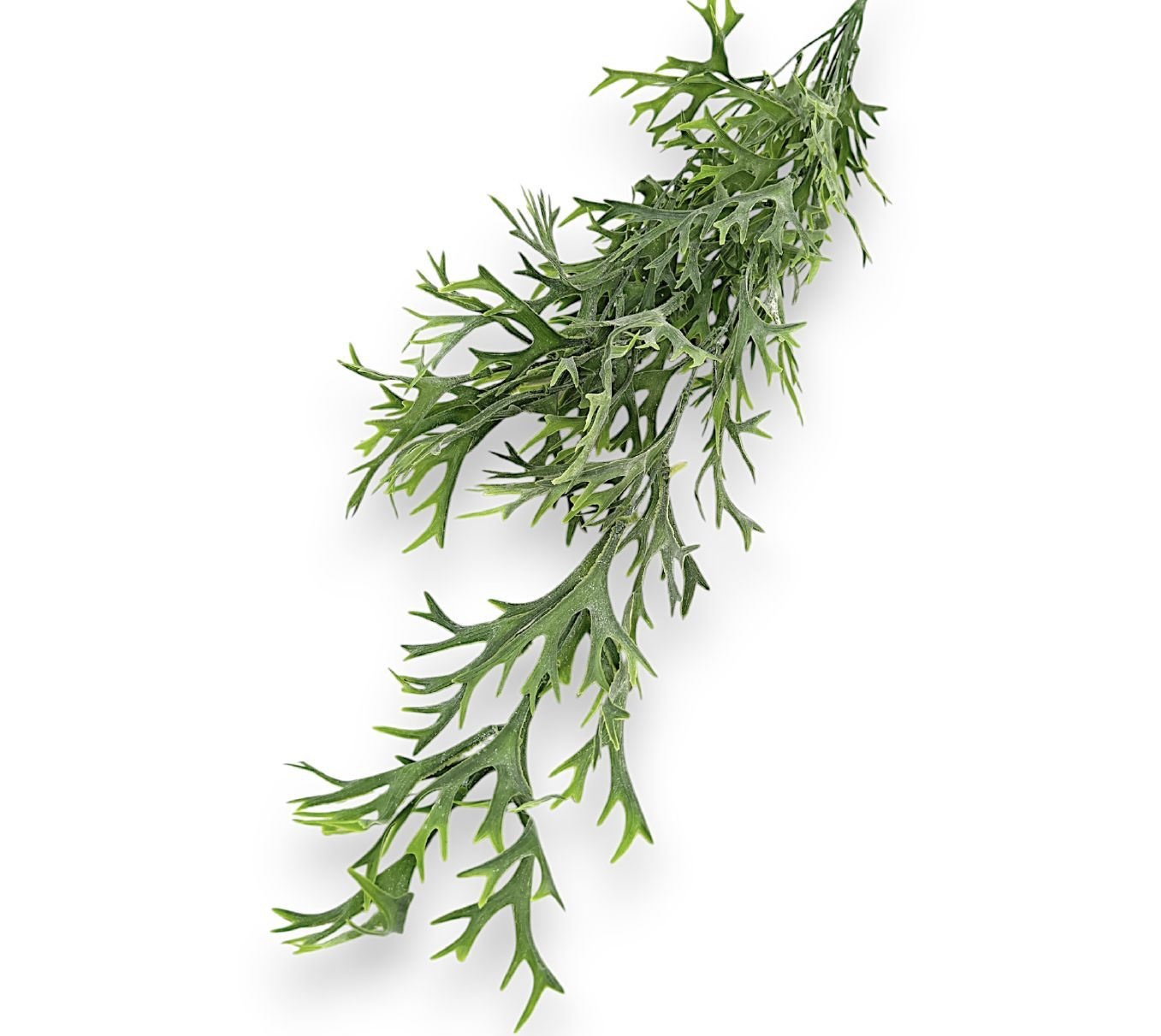 Umělá liána s rohy - Image 2