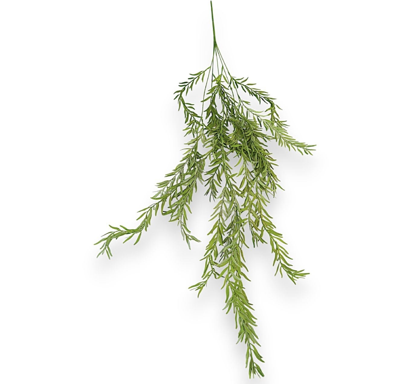 Umělá ruskus liána - Image 3