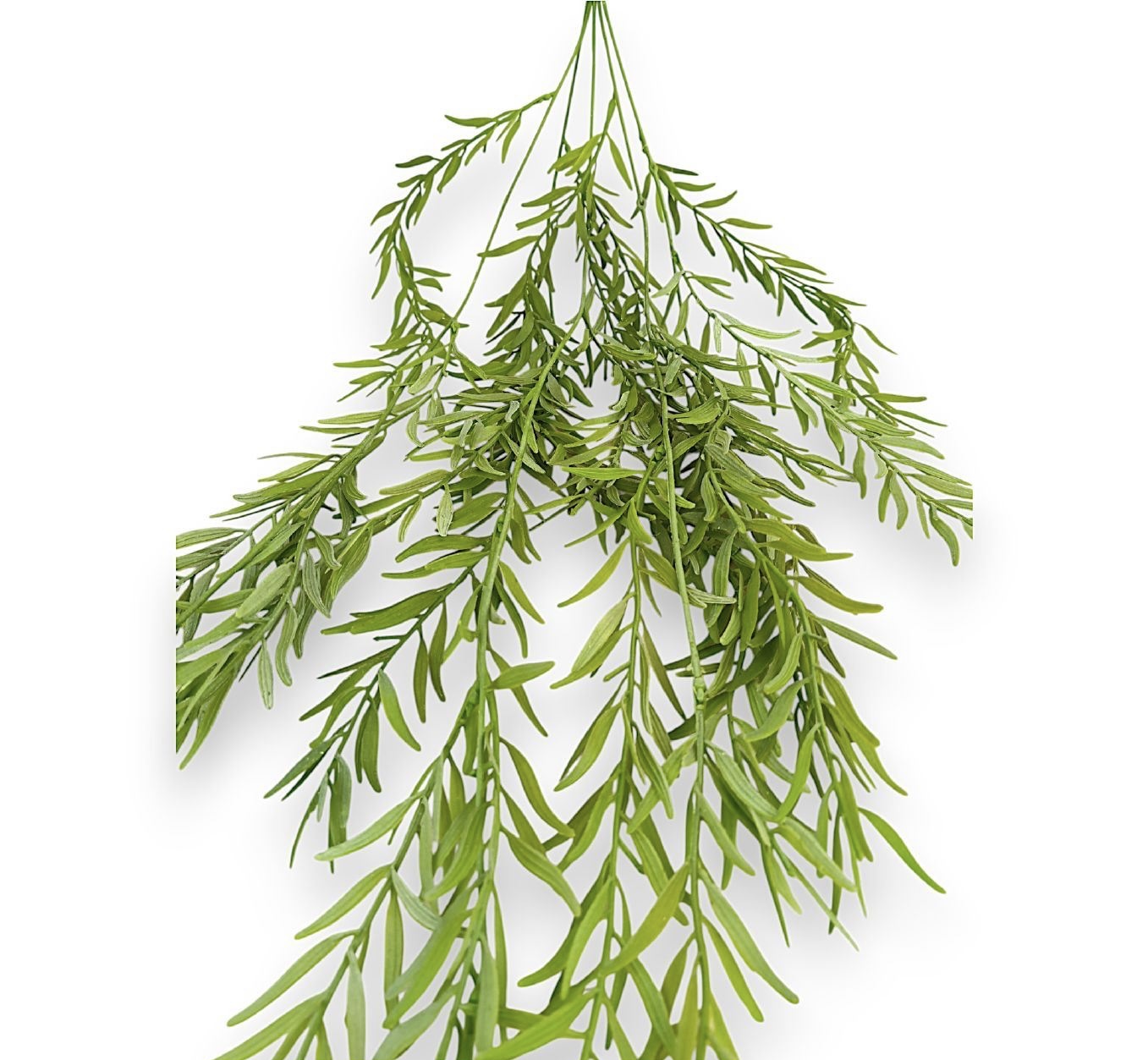 Umělá ruskus liána - Image 2