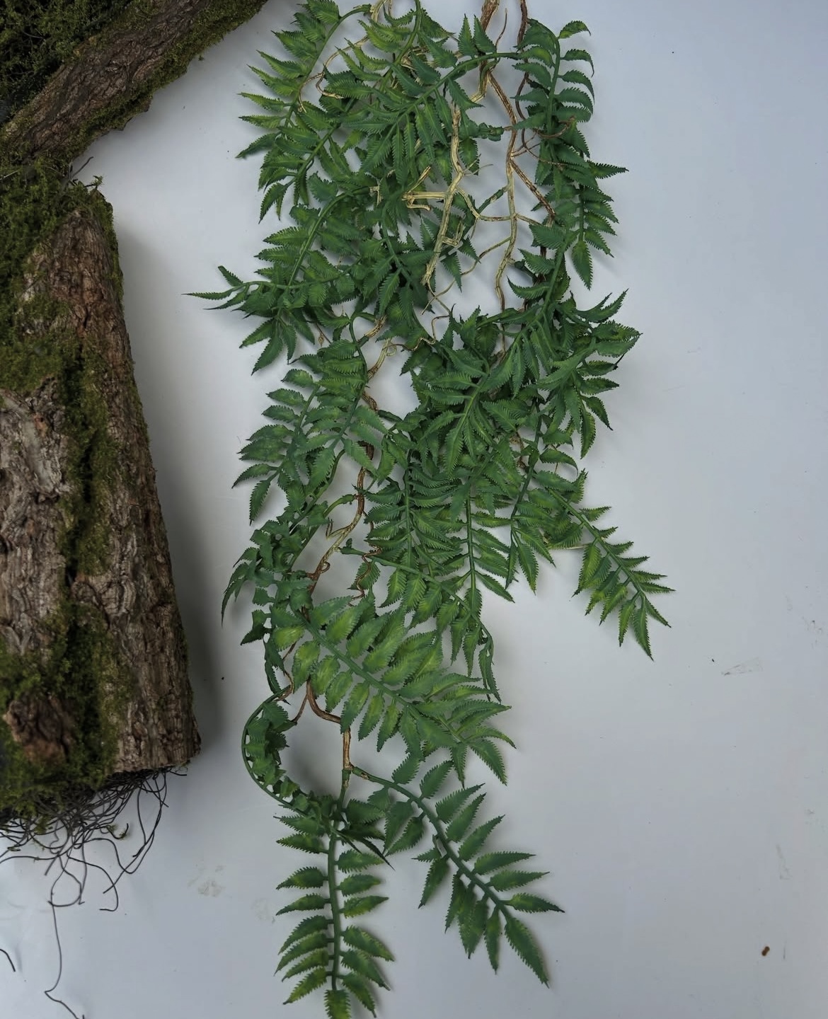 Umělá kapradinová liána - Image 3