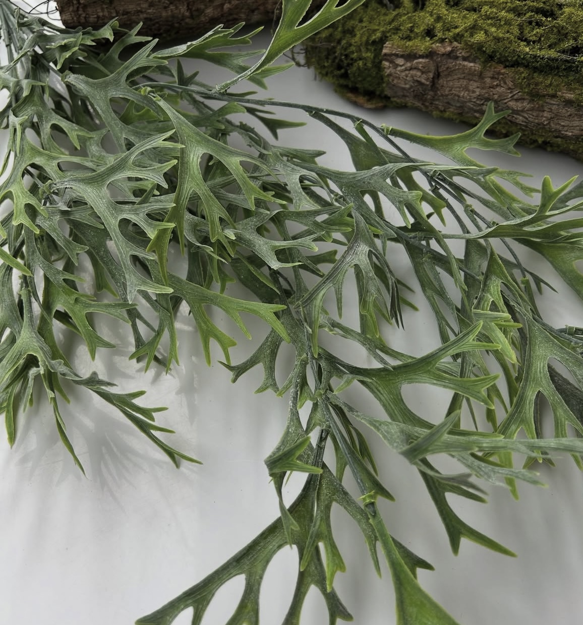 Umělá liána s rohy - Image 4