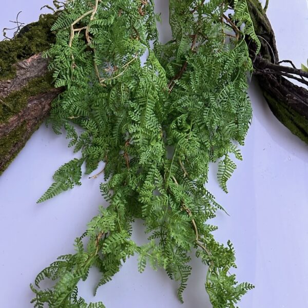 Umělá kapradinová liána