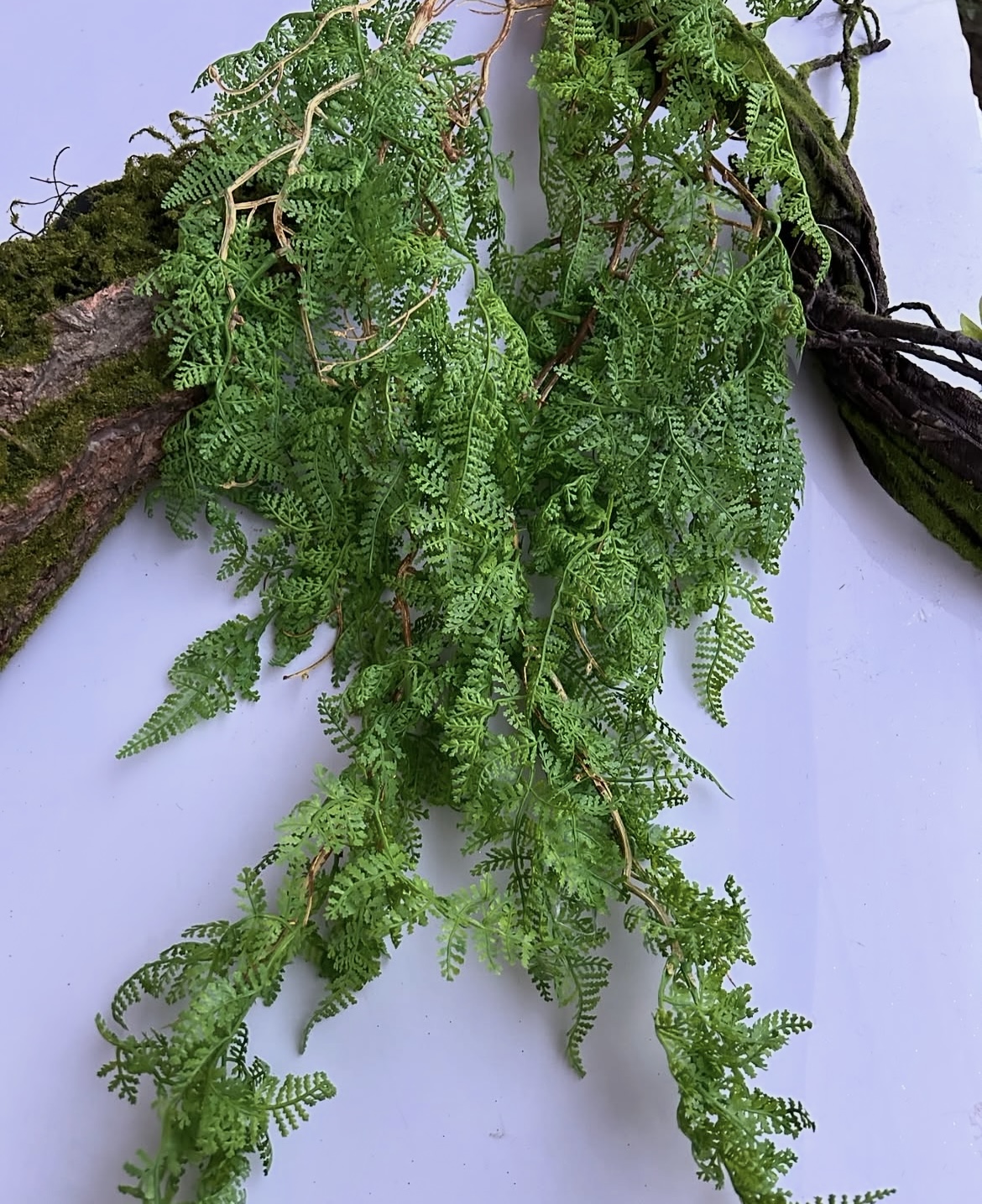 Umělá kapradinová liána