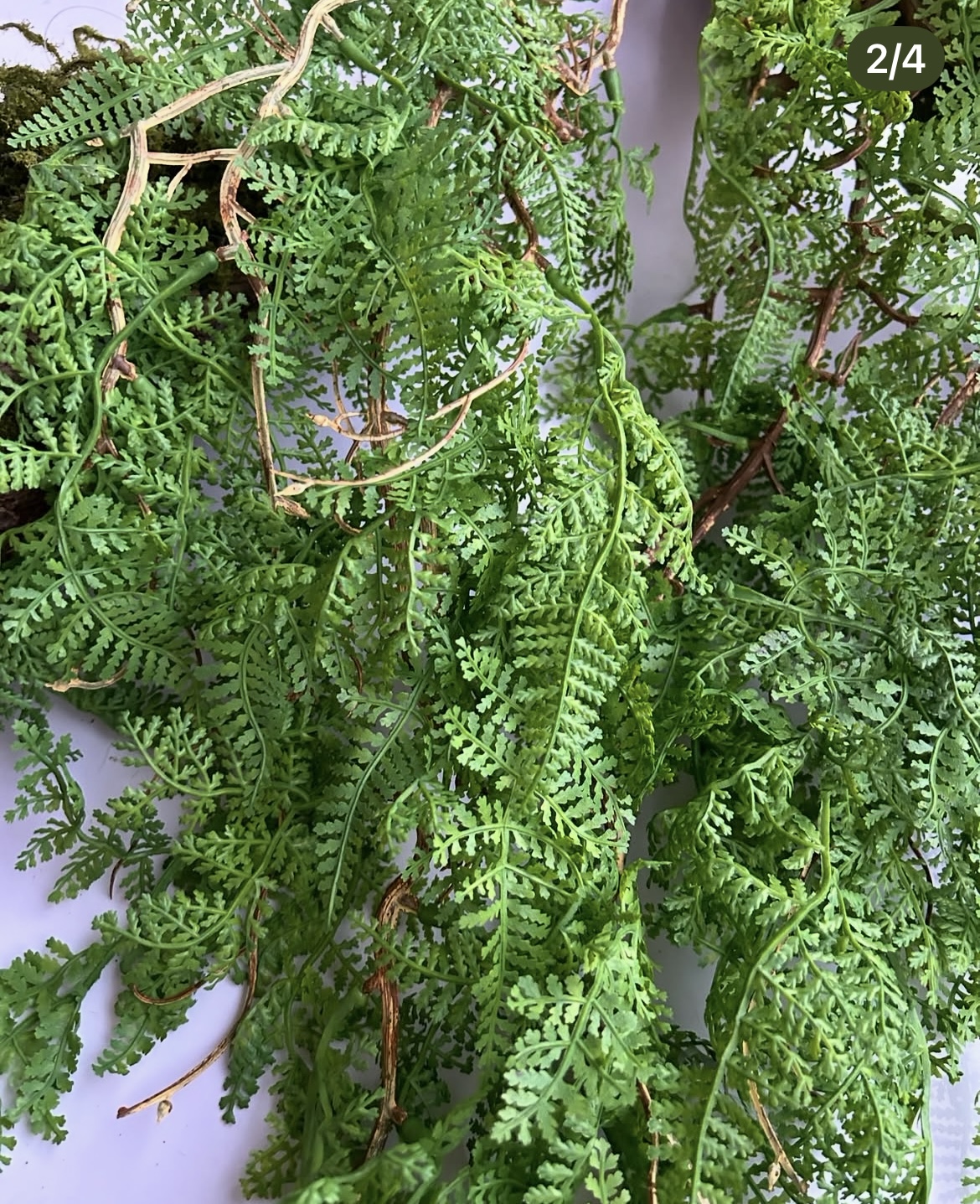 Umělá kapradinová liána - Image 2