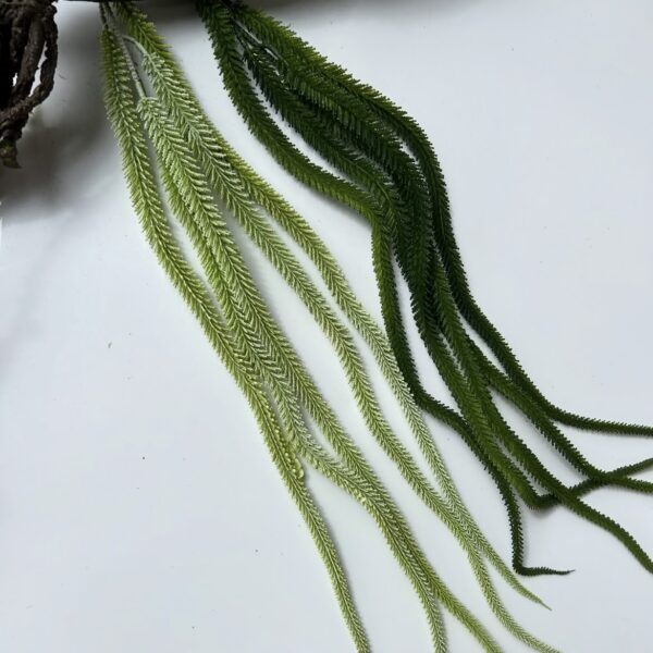 Umělý laskavec – amarant zelený