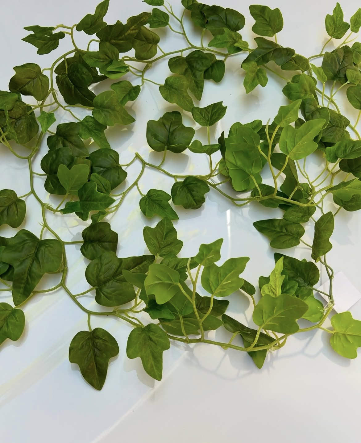 Umělá liána – břečťan - Image 2