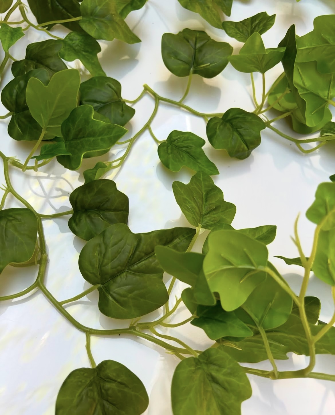 Umělá liána – břečťan - Image 3