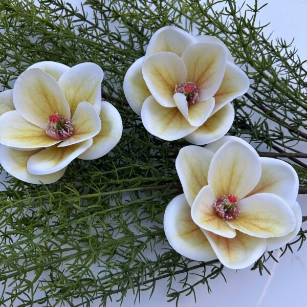 Magnolie Real Touch žlutá