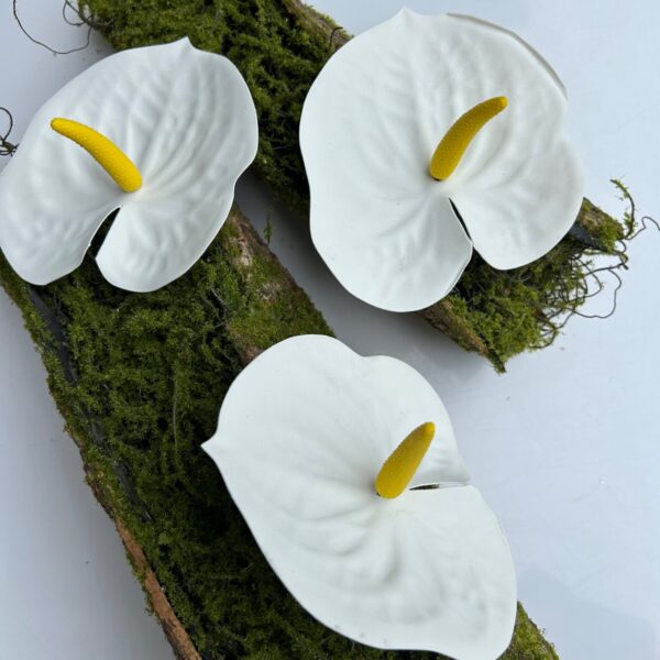 Umělý anturium (bílá)