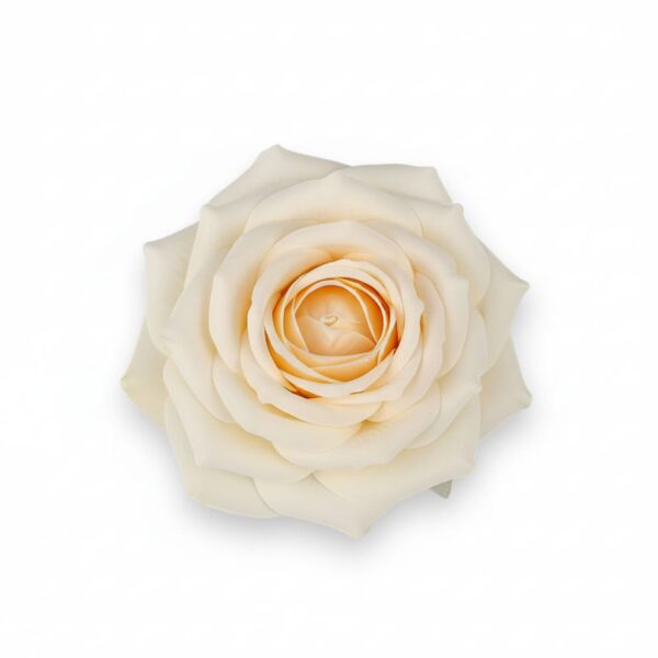 Umělá hlava růže broskvová