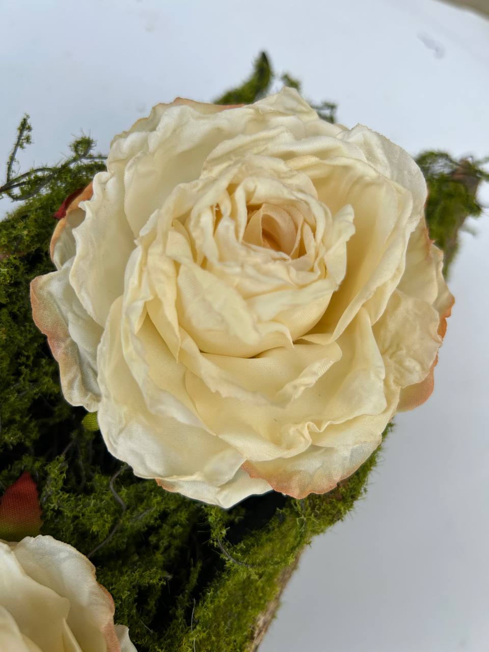 Stabilizovaná umělá růže - Image 2