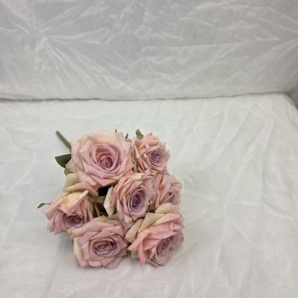 20251121 164228 600x600