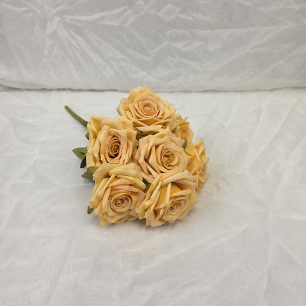 20251121 164533 600x600