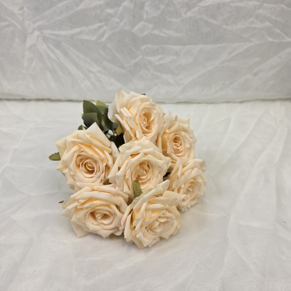 20251121 164754 600x600