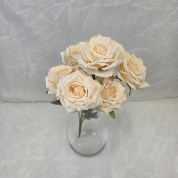 20251121 164818 600x600