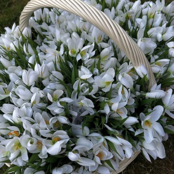 Photo 2026 02 22 22 25 57 600x600