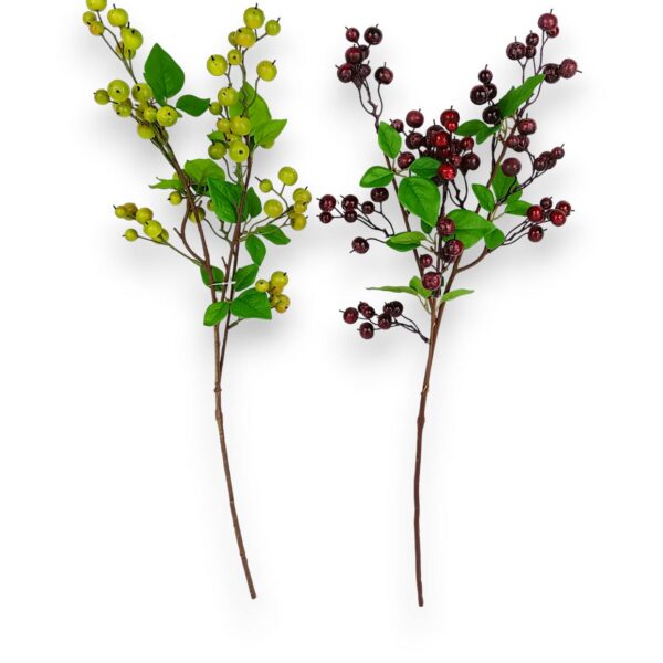 Photo 2026 02 22 22 27 18 600x600