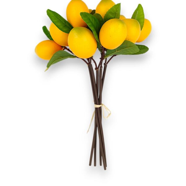 Photo 2026 02 22 22 27 35 600x600