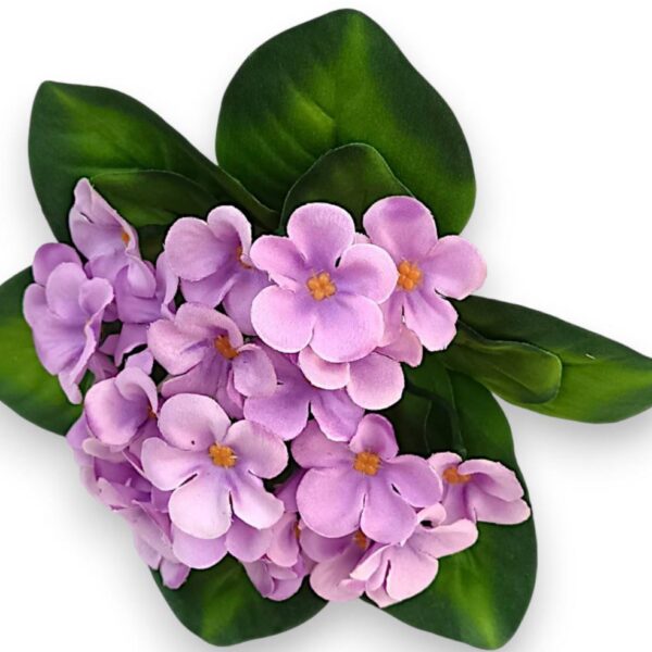 Luxusní umělá africká fialka (Saintpaulia) levandulová – 22