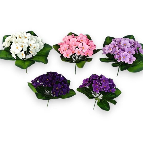 Photo 2026 02 22 23 23 28 600x600